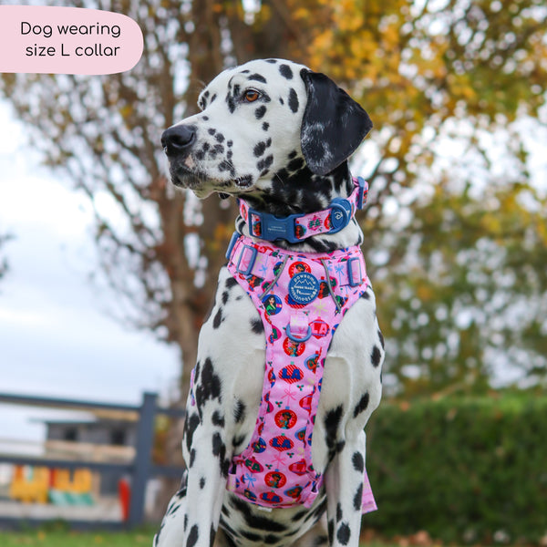 Disney© Collar - Princess