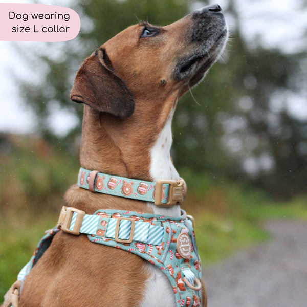 Disney© Collar - Gingerbread Bear Sage