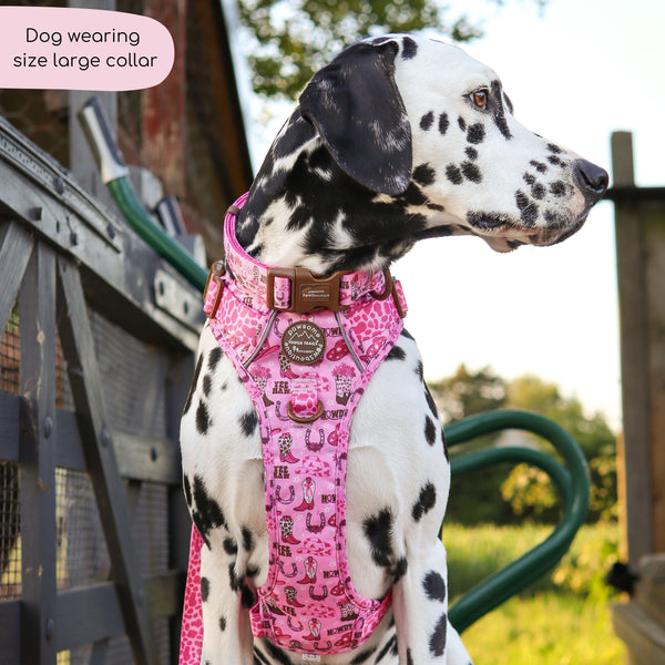 Collar - Cowgirl