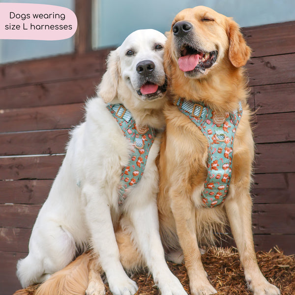 Disney© Tough Trails™ Harness - Gingerbread Bear Sage