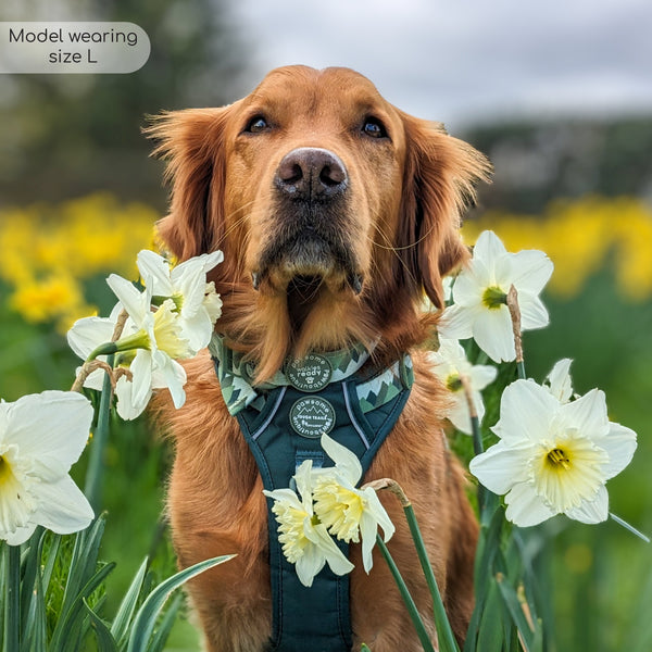 Tough Trails™ Harness - Walkies Ready® Forest Green