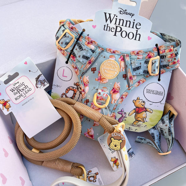 4ft Rope Lead - Winnie The Pooh - Beige and Brown