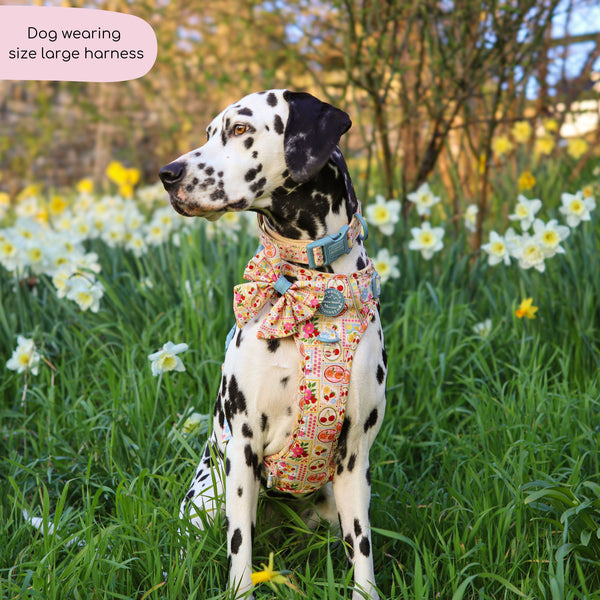 Tough Trails™ Harness -  Summer Vacay