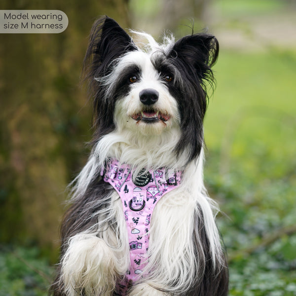 Tough Trails™ Harness -Betsy's Roadtrip - Patterned Border