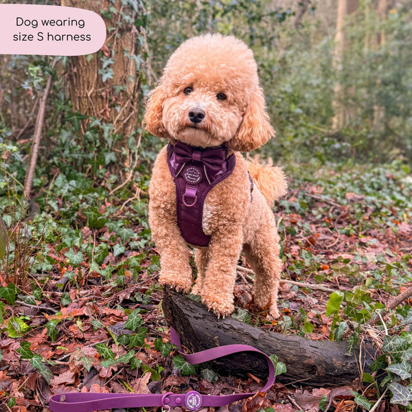 Tough Trails™ Harness - Walkies Ready® Plum