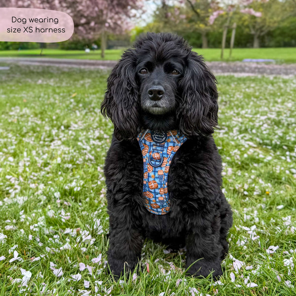 Tough Trails™ Harness -  Rise & Shine