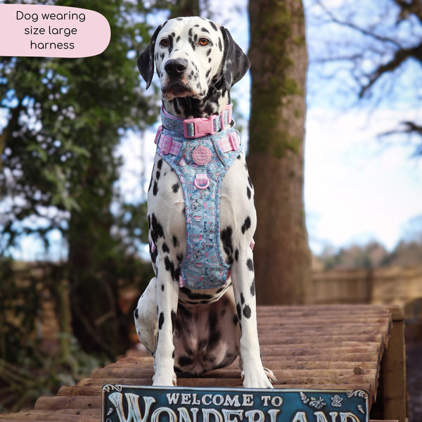 Tough Trails™ Harness - Mad Hatters Tea Party