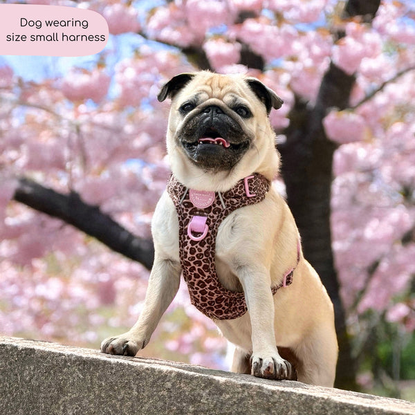 Tough Trails™ Harness -  Leopard Print