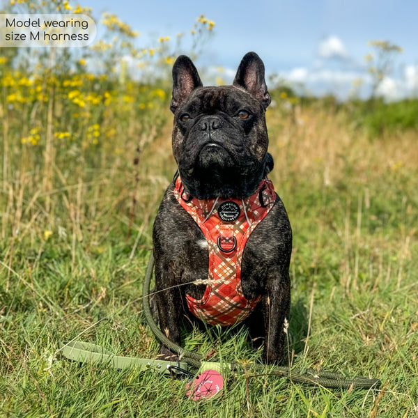 Tough Trails™ Harness - Pumpkin Plaid