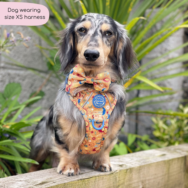 Tough Trails™ Harness - Celestial Spirit