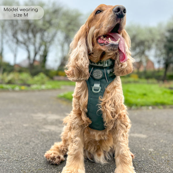 Tough Trails™ Harness - Walkies Ready® Forest Green