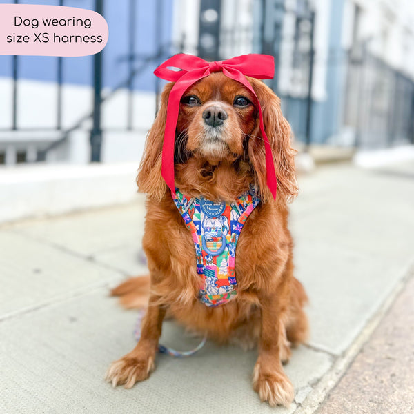 Disney© Tough Trails™ Harness - Lady + The Tramp