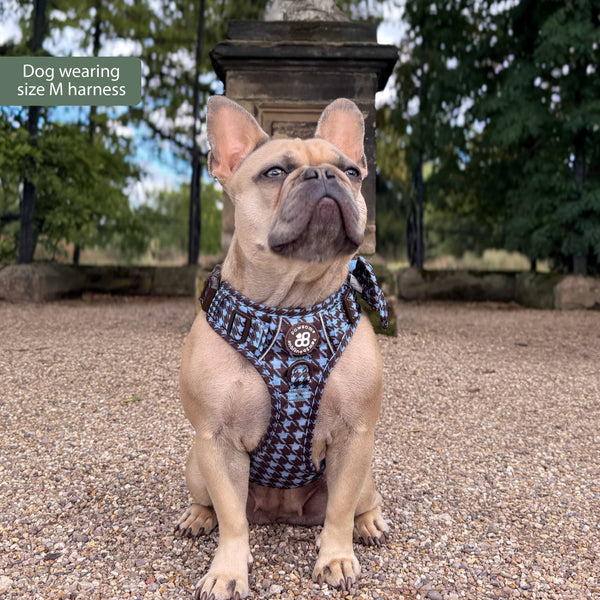 Tough Trails™ Harness -  Horizon Houndstooth