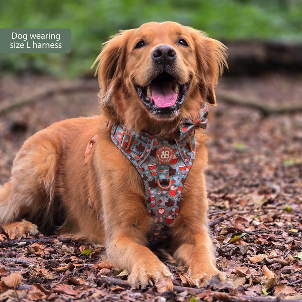 Tough Trails™ Harness -  Pumpkin Spice