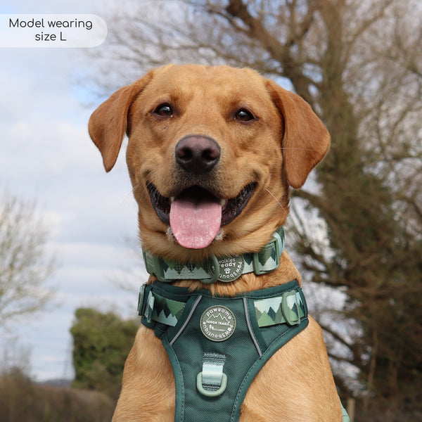 Collar – Walkies Ready® Forest Green