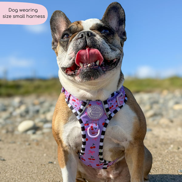 Tough Trails™ Harness -  Cherry Bomb