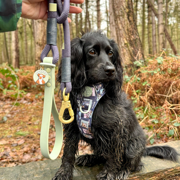 4ft Rope Lead - Winnie + Friends - Sage and Blue