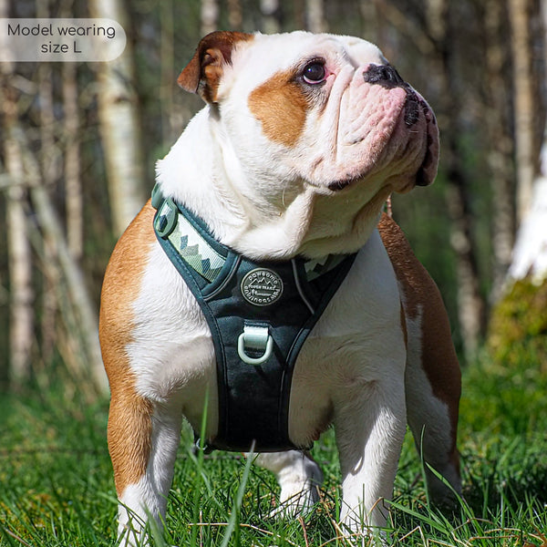 Tough Trails™ Harness - Walkies Ready® Forest Green