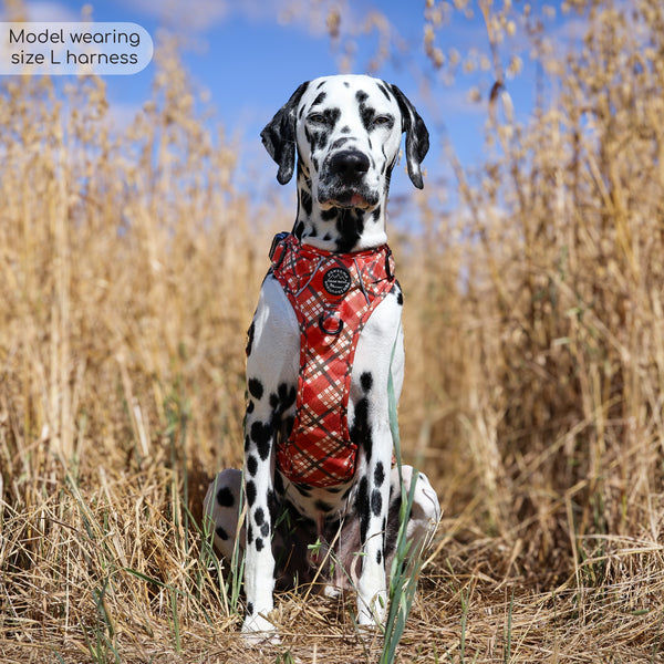 Tough Trails™ Harness - Pumpkin Plaid