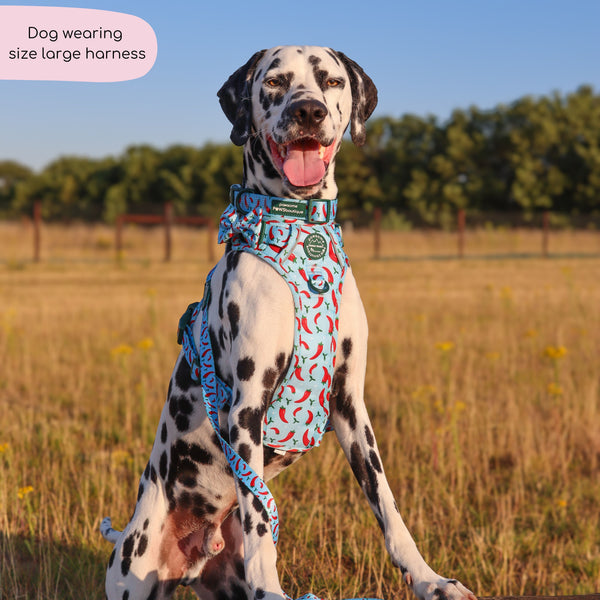 Tough Trails™ Harness - Stay Spicy