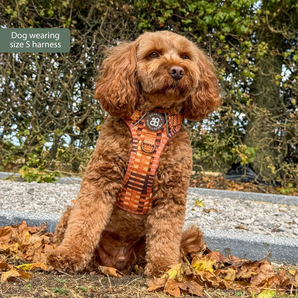 Tough Trails™ Harness -  Golden Acre