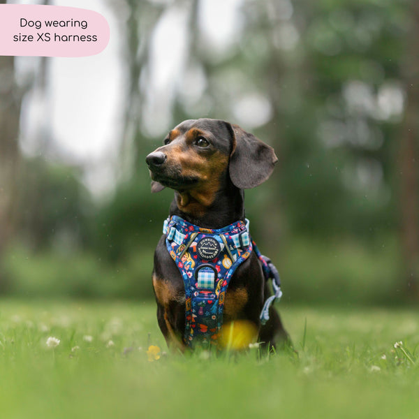 Tough Trails™ Harness - Alice In Wonderland