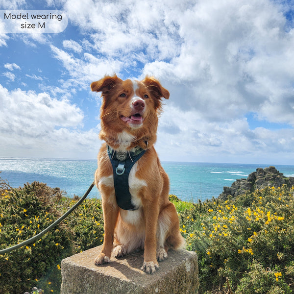 Tough Trails™ Harness - Walkies Ready® Forest Green