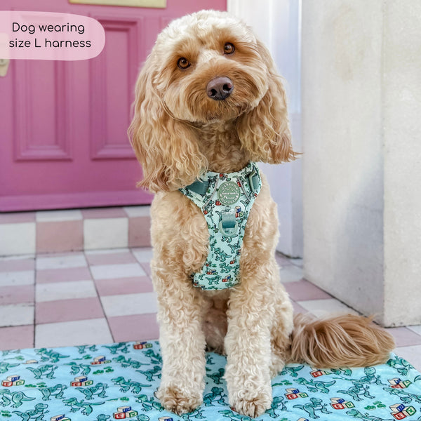 Disney© Tough Trails™ Harness - Rex