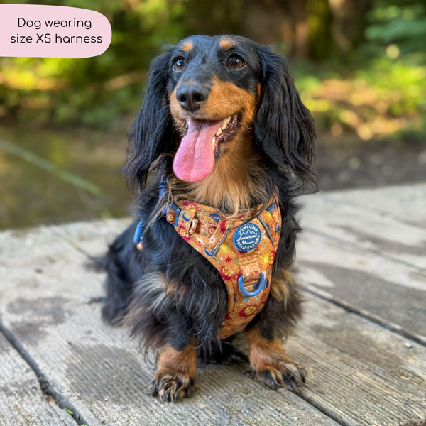 Tough Trails™ Harness - Celestial Spirit