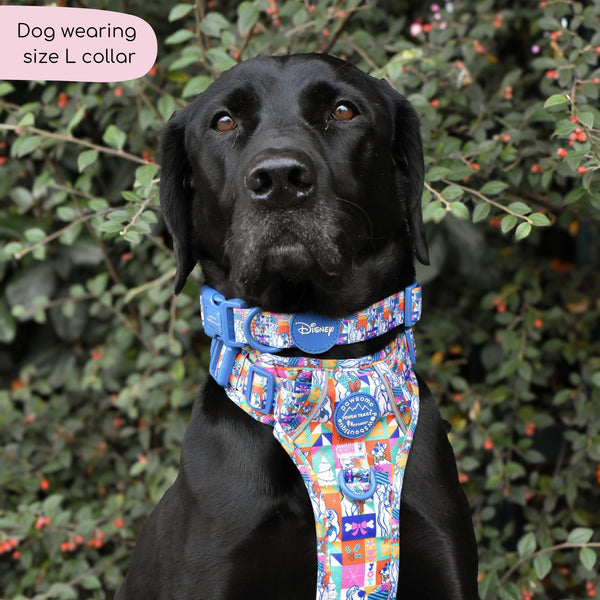 Disney© Collar - Lady + The Tramp