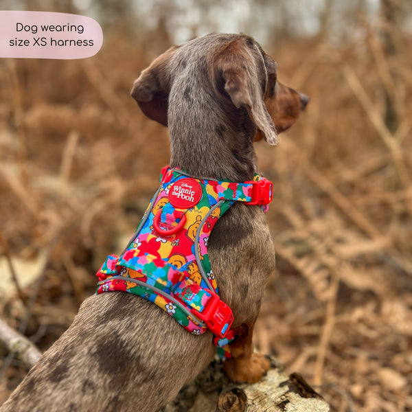 Disney© Tough Trails™ Harness - Winnie Goes Retro