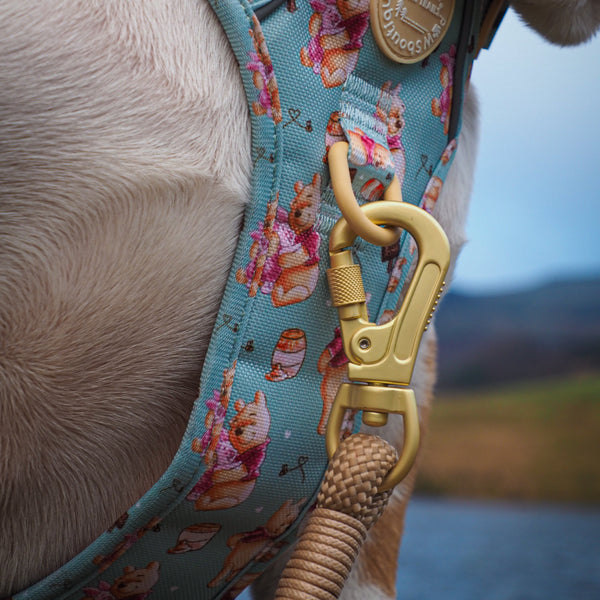 4ft Rope Lead - Winnie The Pooh - Beige and Brown