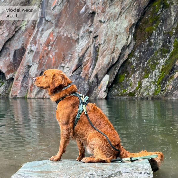 Tough Trails™ Harness - Walkies Ready® Forest Green