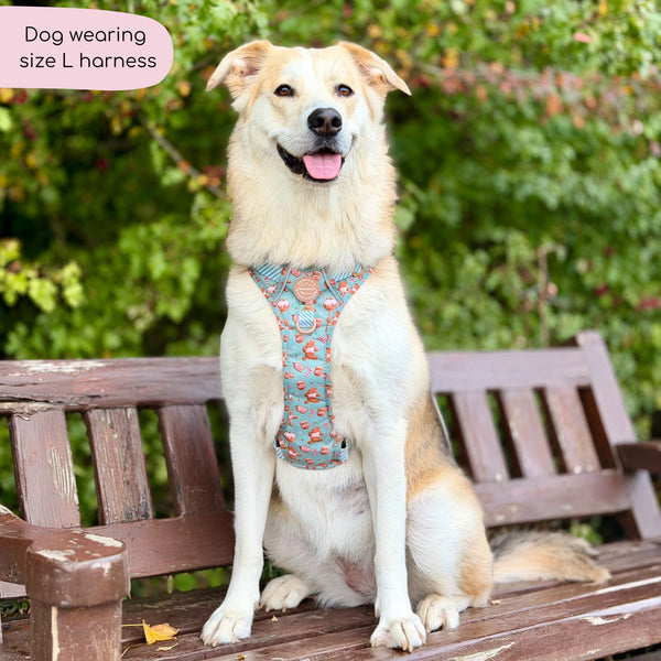 Disney© Tough Trails™ Harness - Gingerbread Bear Sage