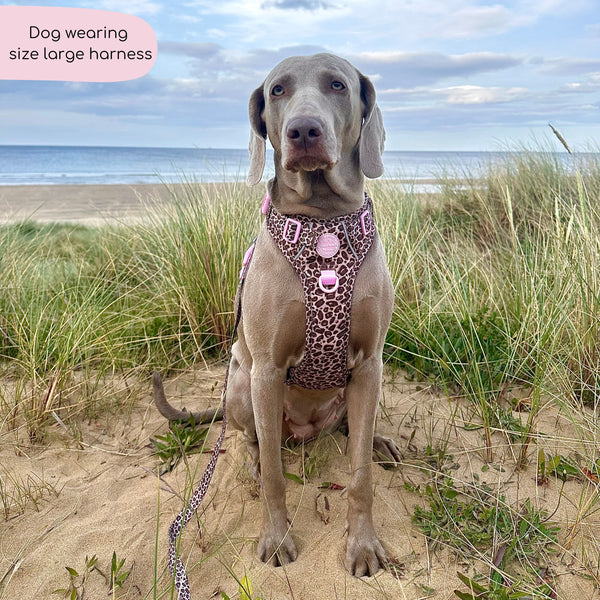 Tough Trails™ Harness -  Leopard Print
