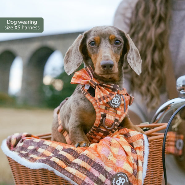 Tough Trails™ Harness -  Golden Acre