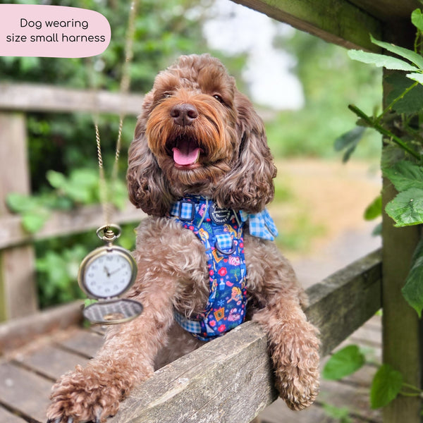 Tough Trails™ Harness - Alice In Wonderland