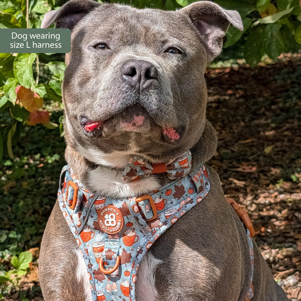 Tough Trails™ Harness -  Pumpkin Spice