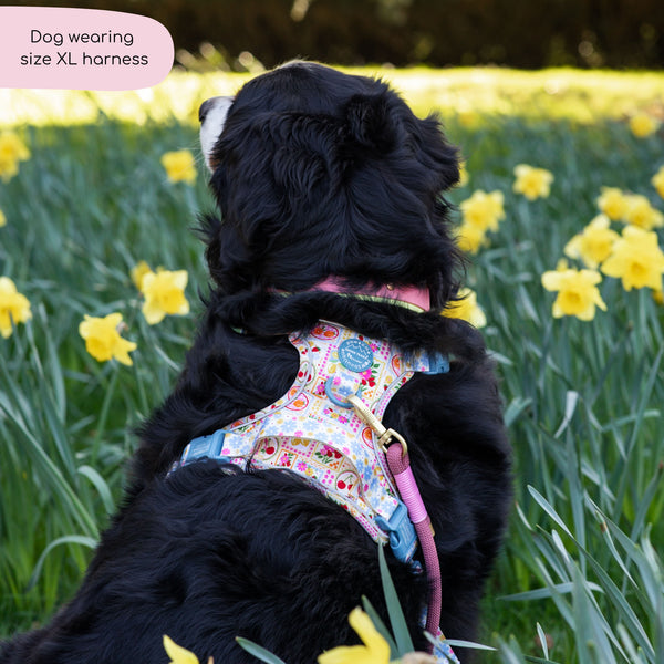 Tough Trails™ Harness -  Summer Vacay
