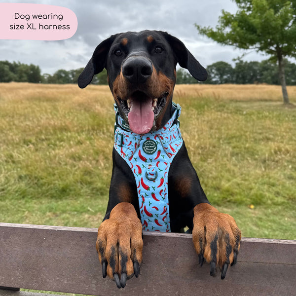 Tough Trails™ Harness - Stay Spicy