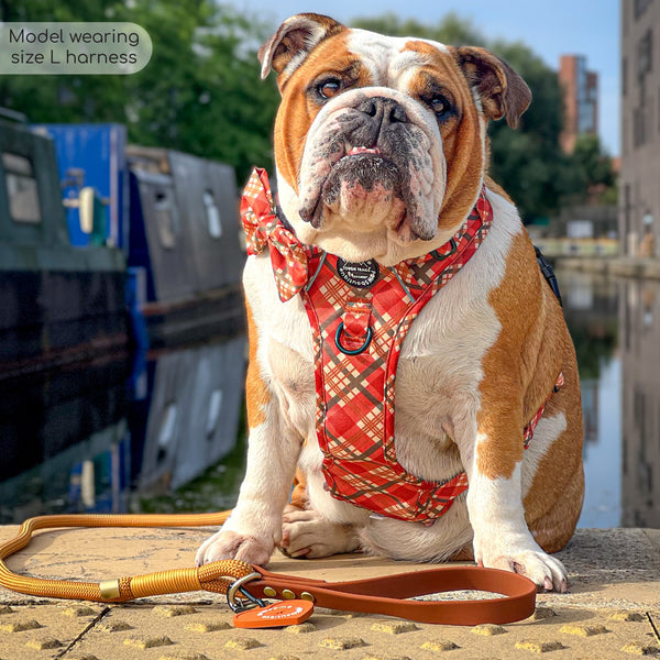 Tough Trails™ Harness - Pumpkin Plaid