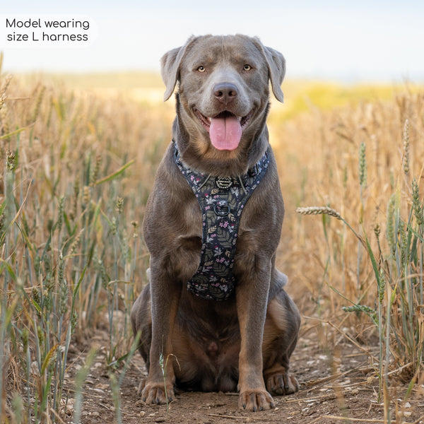 Tough Trails™ Harness - Midnight Garden