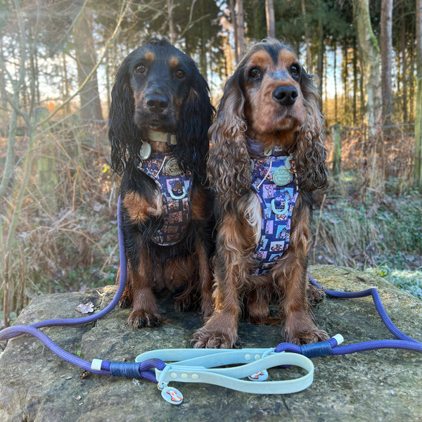 4ft Rope Lead - Winnie + Friends - Sage and Blue