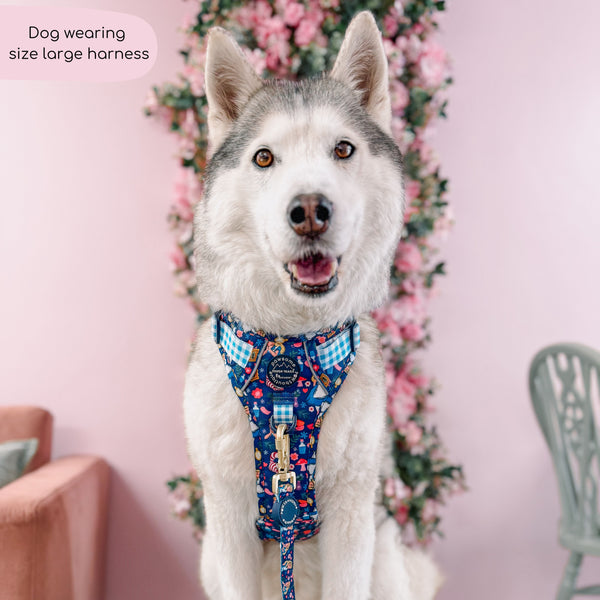 Tough Trails™ Harness - Alice In Wonderland