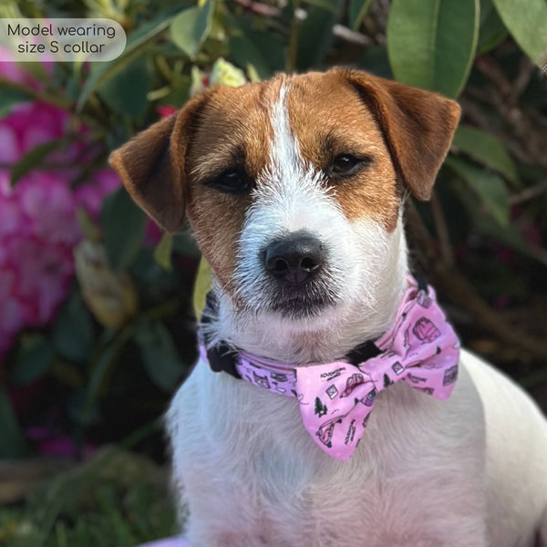 Bow Tie - Betsy's Roadtrip