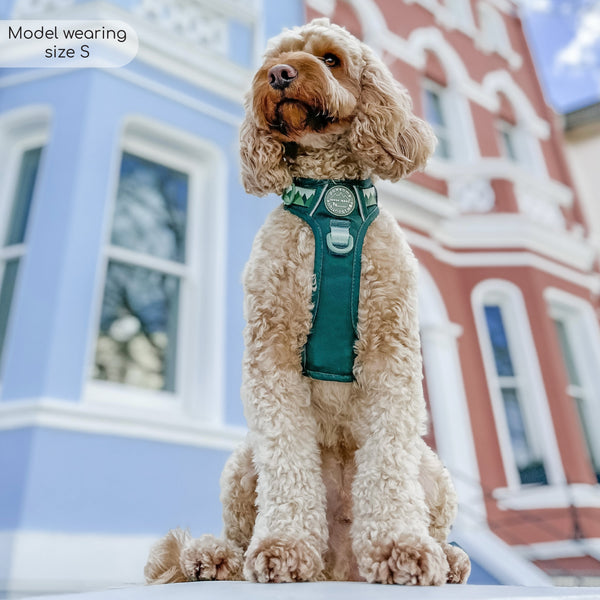 Tough Trails™ Harness - Walkies Ready® Forest Green