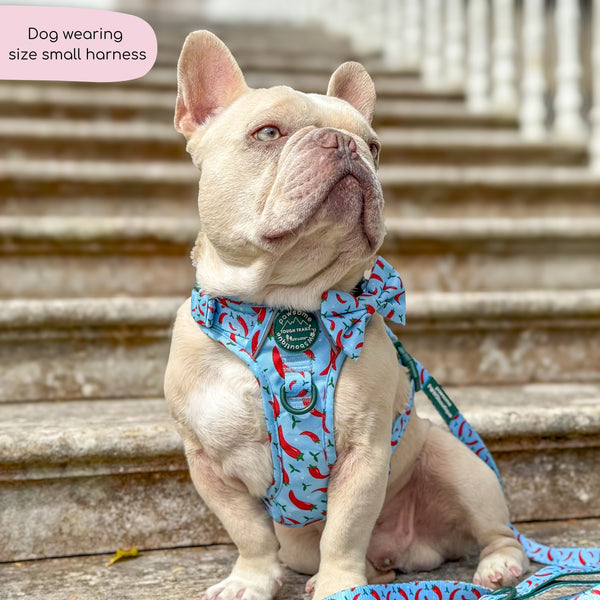 Tough Trails™ Harness - Stay Spicy