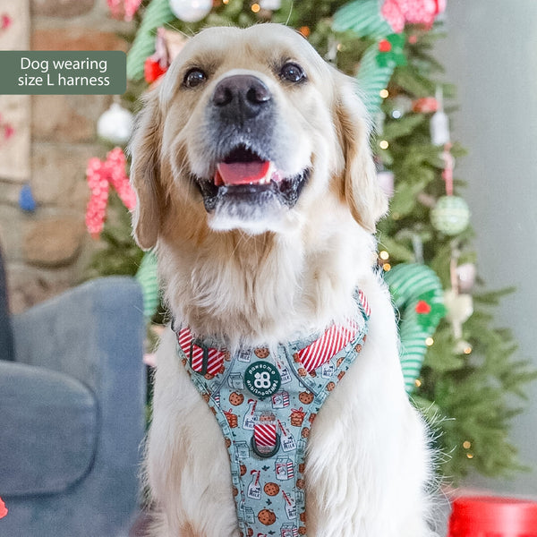 Tough Trails™ Harness -  Milk & Cookies