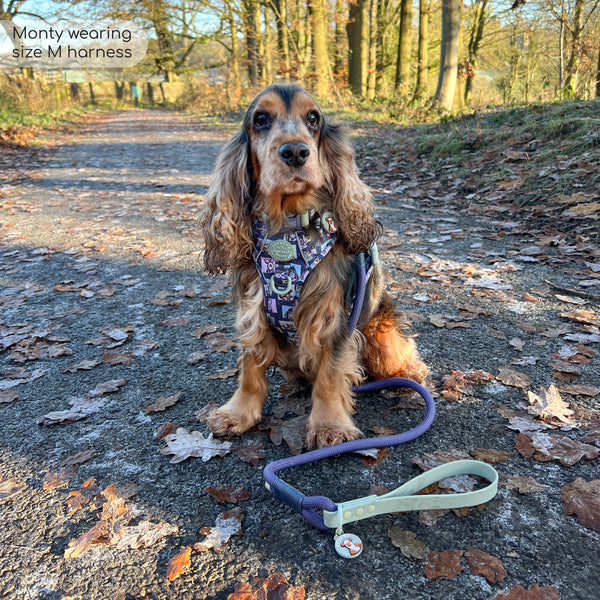 4ft Rope Lead - Winnie + Friends - Sage and Blue