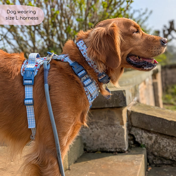 Disney© Tough Trails™ Harness - Tigger